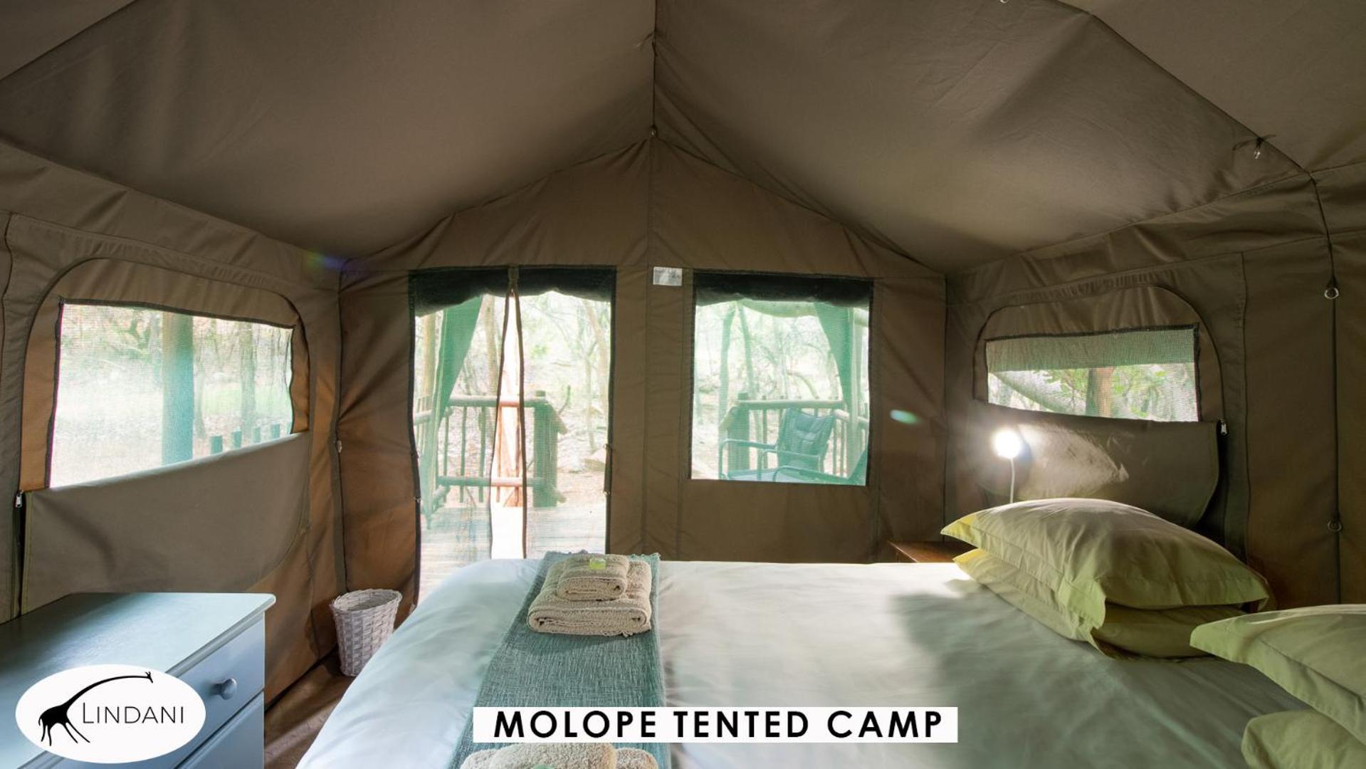 Lindani Game&Lodges Vaalwater Extérieur photo