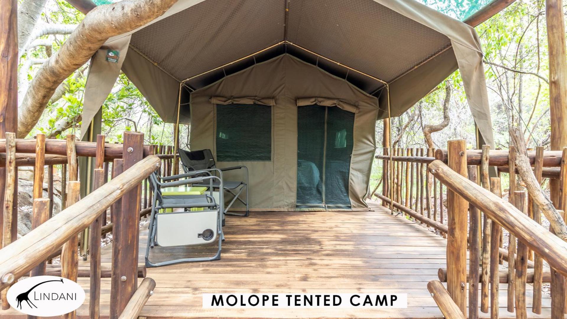 Lindani Game&Lodges Vaalwater Extérieur photo